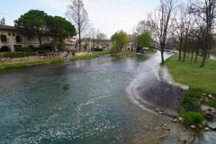 DSC02636-Medium