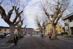 DSC02640-Medium